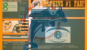 Miami Dolphins Layout