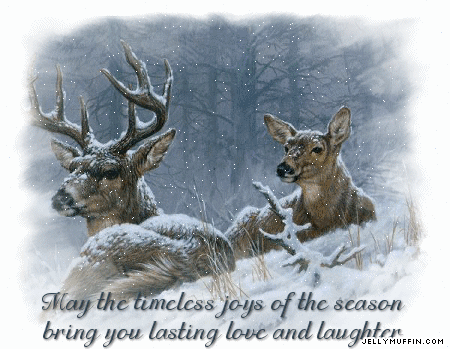 lastinglovereindeer.gif