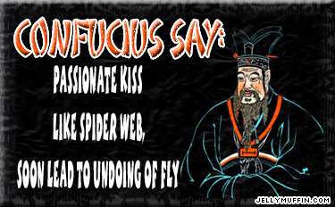 undoingfly.gif