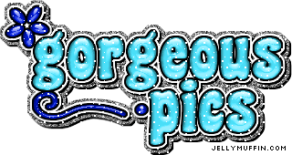 gorgeous_pics_1.gif