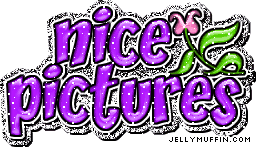 nice_pictures_2.gif