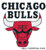 nbalogo29.gif