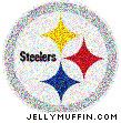 nfllogo29.gif