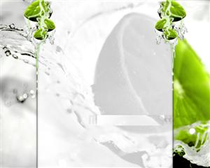 Splash Of Lime Layout